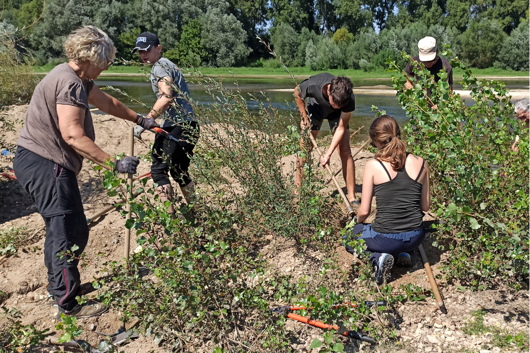 Chantier nature